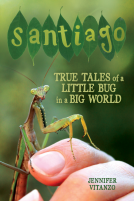 book cover for Santiago