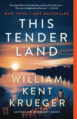 book cover for This Tender Land
