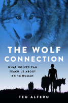 book cover for The Wolf Connection