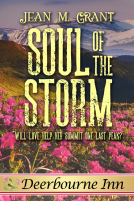 book cover for Soul of the Storm