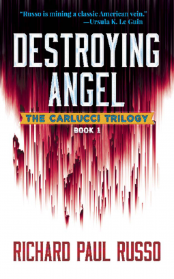 book cover for Destroying Angel