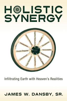 book cover for Holistic Synergy