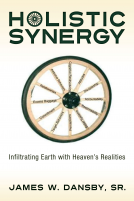 book cover for Holistic Synergy