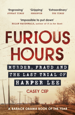 book cover for Furious Hours