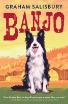 book cover for Banjo