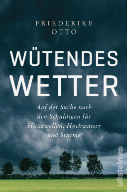 Buchcover für Wütendes Wetter