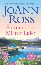 book cover for Summer on Mirror Lake