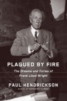 book cover for Plagued by Fire