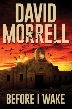 book cover for Before I Wake