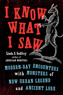 book cover for I Know What I Saw