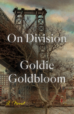 book cover for On Division