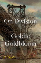 book cover for On Division