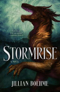 book cover for Stormrise