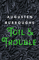 book cover for Toil & Trouble