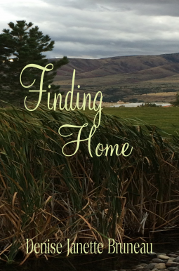 book cover for Finding Home