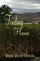 book cover for Finding Home