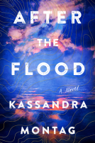 book cover for After the Flood