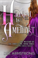 book cover for Haunted by Amethyst