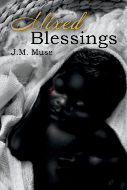 book cover for Mixed Blessings