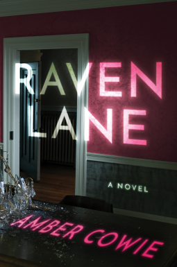 book cover for Raven Lane