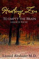 book cover for Healing Zen To Empty The Brain