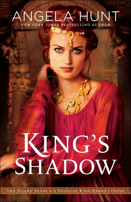 book cover for King's Shadow