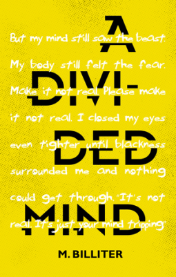 book cover for A Divided Mind