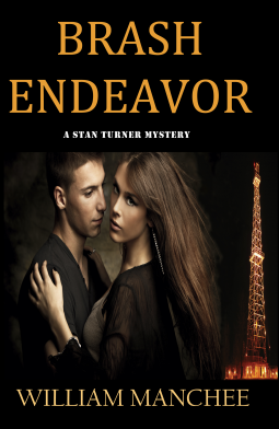 book cover for Brash Endeavor
