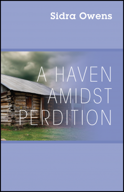 book cover for A Haven Amidst Perdition