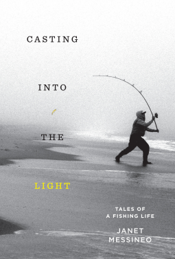 book cover for Casting into the Light