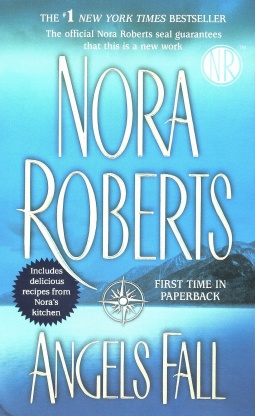 book cover for Angels Fall