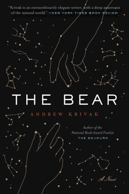 book cover for The Bear