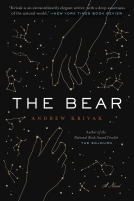 book cover for The Bear