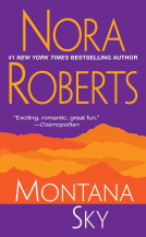 book cover for Montana Sky
