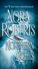 book cover for Northern Lights