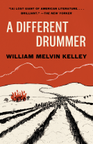 book cover for A Different Drummer