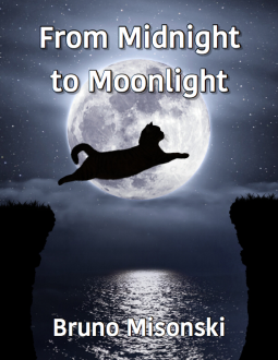 book cover for From Midnight to Moonlight