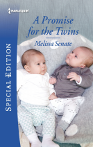 book cover for A Promise for the Twins