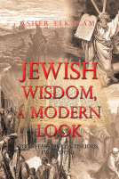 book cover for Jewish Wisdom, a Modern Look