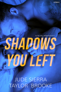 book cover for Shadows You Left