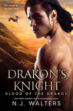 book cover for Drakon's Knight