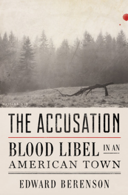 book cover for The Accusation