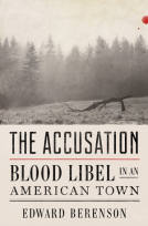 book cover for The Accusation