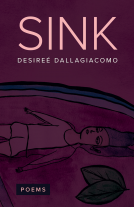 book cover for Sink