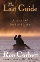 book cover for The Last Guide
