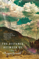 book cover for The Distance Between Us