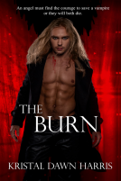 book cover for The Burn