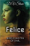 Cover Image: Felice: Shield-Mates of Dar