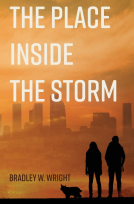 book cover for The Place Inside the Storm