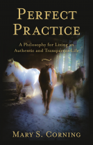 book cover for Perfect Practice
